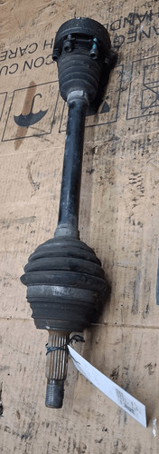 6n0407451dx semialbero ant - semialbero,